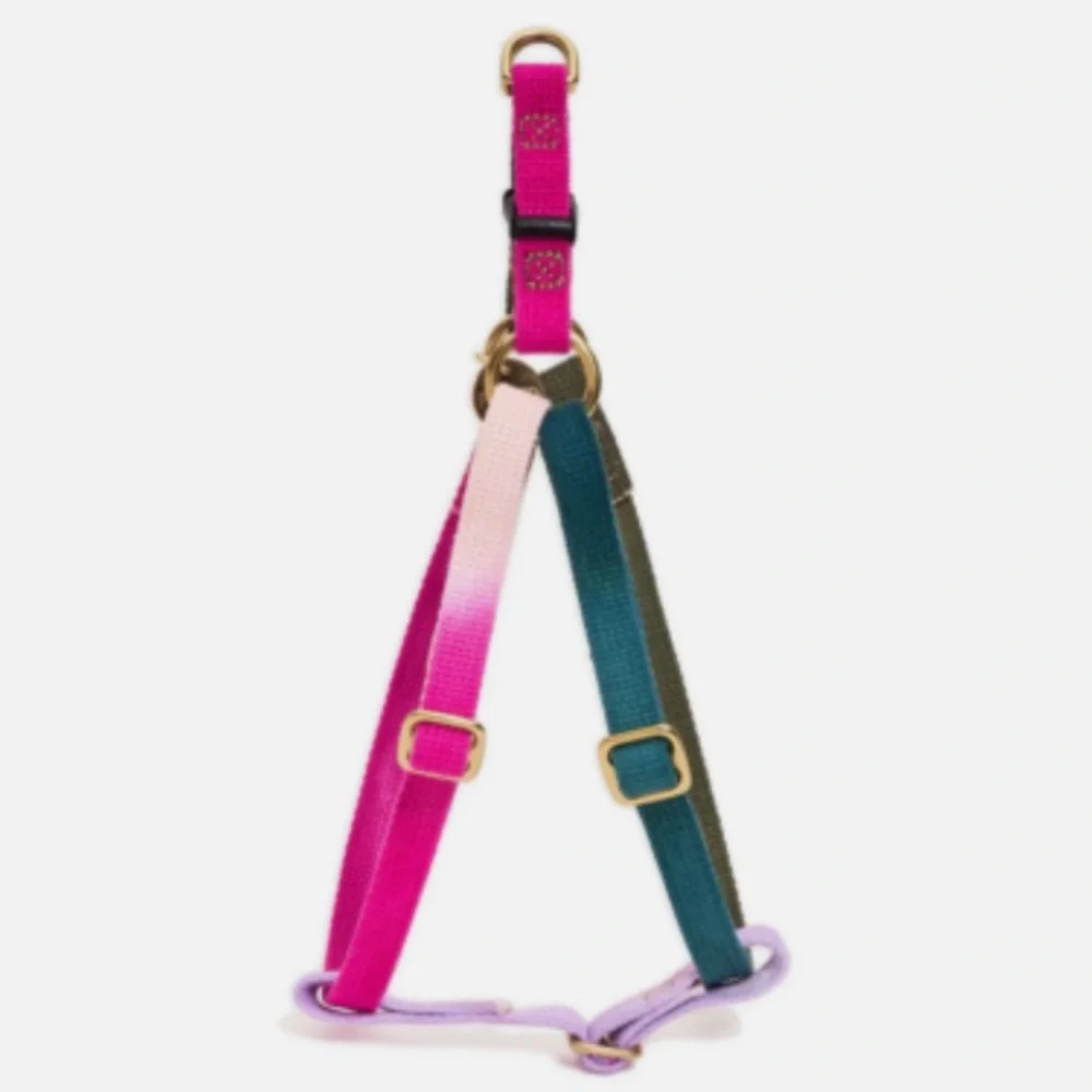 NWT Found My Animal Jolie Flat Webbing Dog Harness Ombré Cotton Medium $68